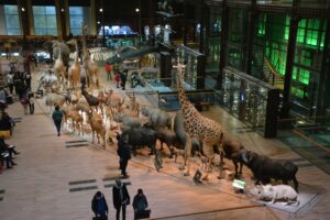 Muséum national d’Histoire naturelle