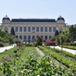 Jardin des plantes