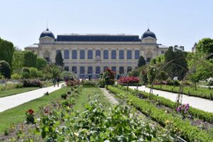 Jardin des plantes