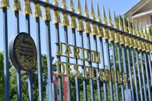 Jardin des plantes