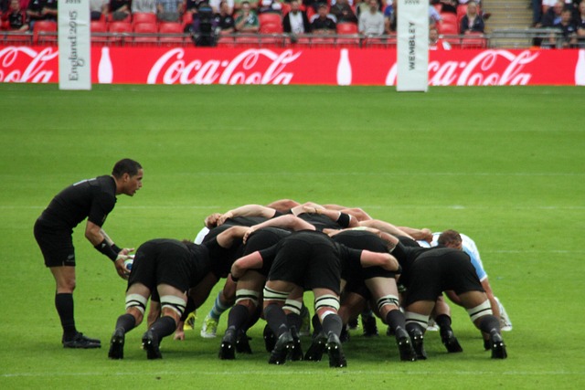 Lire la suite à propos de l’article La Coupe du Monde de rugby en France a démarré à Paris !